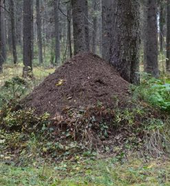 Kuidas alustada tervislikku eluviisi?